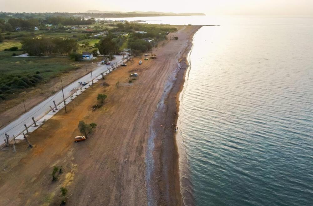 Sea Breeze Kato Achaia Exterior foto